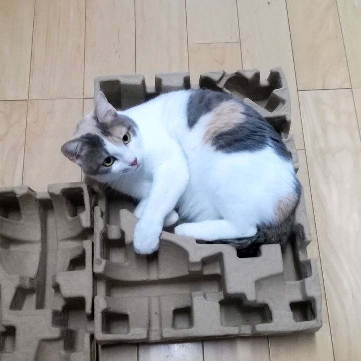 C638a835 7cf2 4764 9c10 ffab859b1c68 1546247018310