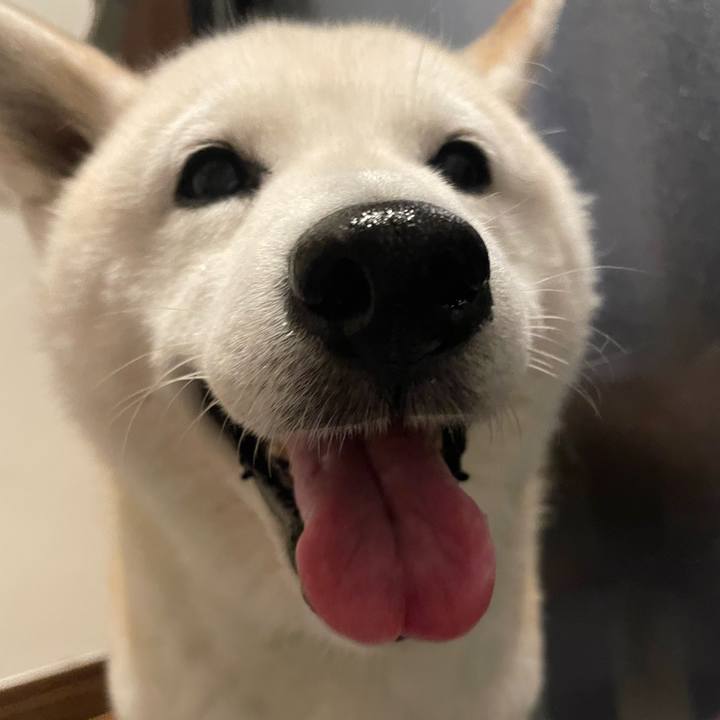 C638bac8 0f28 4849 8e7a 2244601da02f 1688477520432