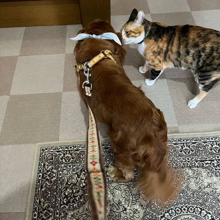 C638c177 5cea 40d5 bcf3 fb6c9caed13d 1723939383984