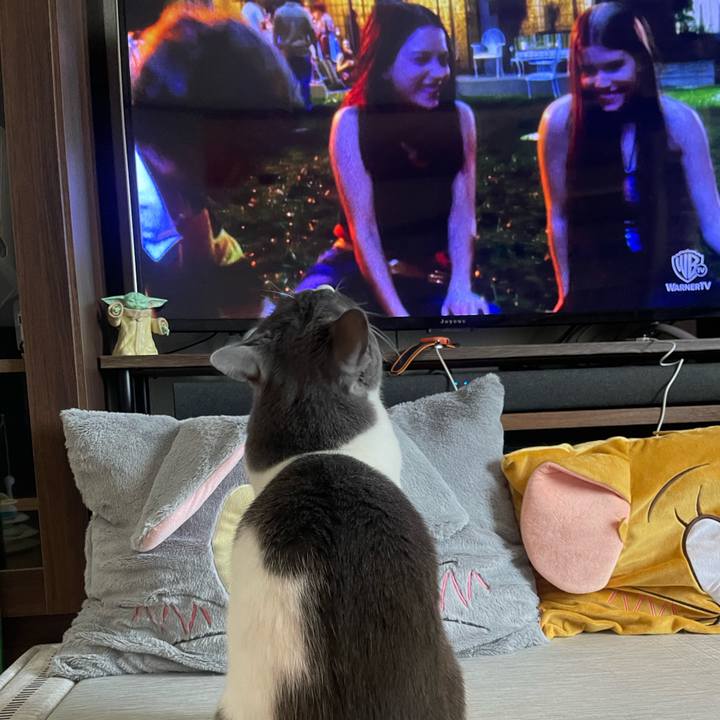 C638e0df a640 42bc 9783 adc7caeab61c 1753771188096