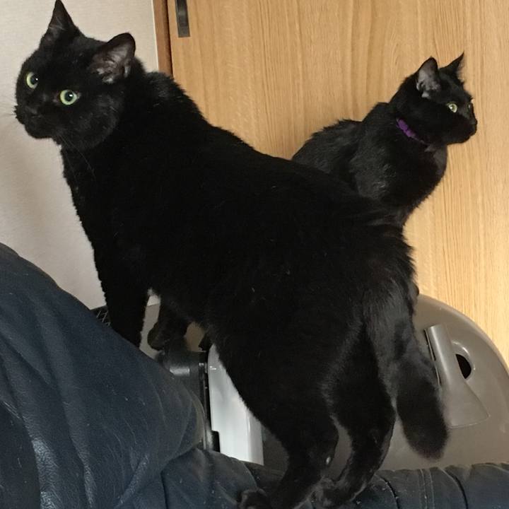 C638f1ea 4ce1 491f 9448 d6ee2f8b419c 1532351730364