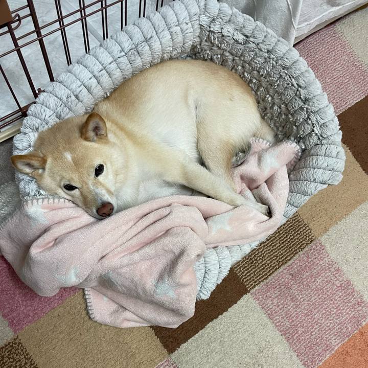 C638f4b2 2d30 430e bca8 0aa2f19e24f3 1699962636512