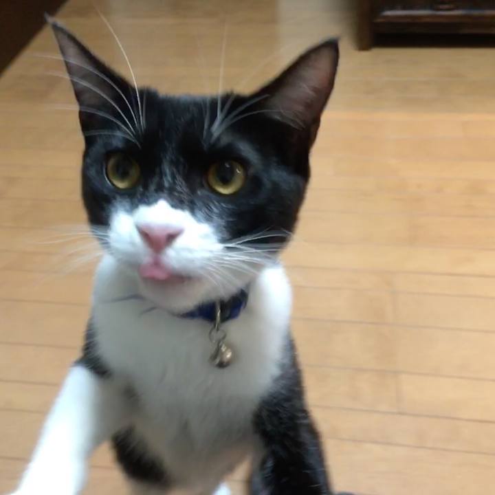 C6394e2f 4d06 45f1 af30 3463cab02a83 1517657318917