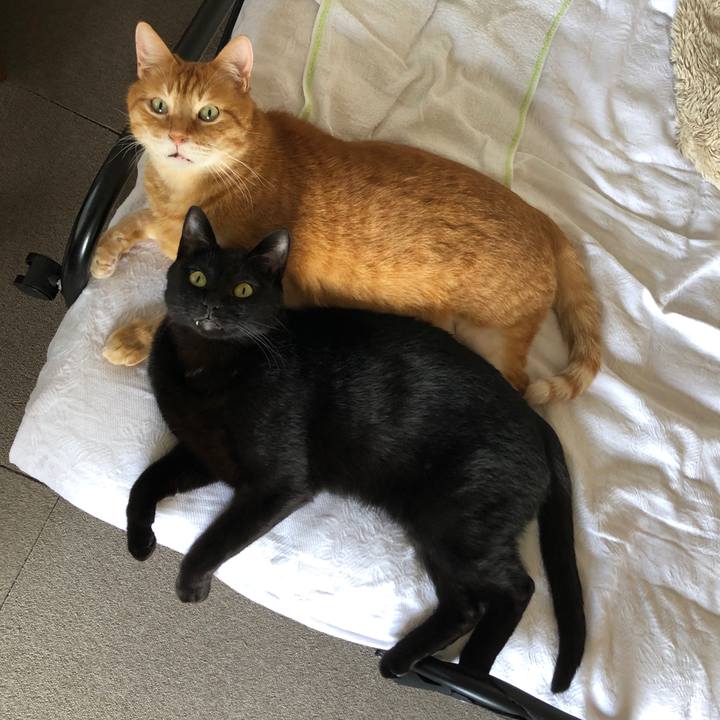 C6398a5e b27a 4343 a54e ae1de60dd365 1684061865692