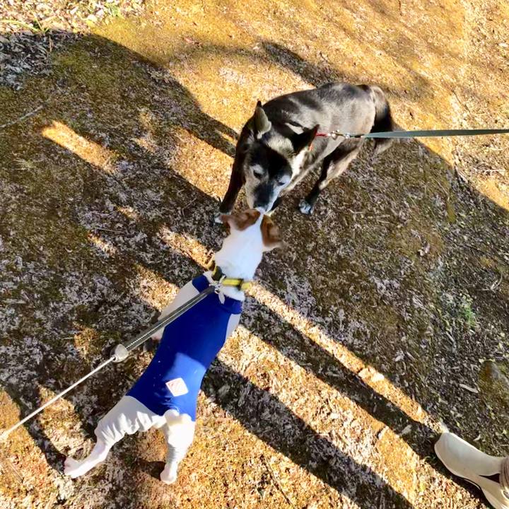 C6399f3b ebfd 40c7 a74d b3a2b99bbed6 1543317441501