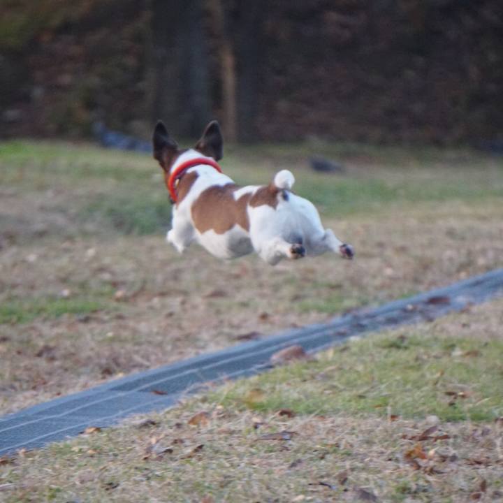 C639bc39 e3ac 4d28 b7ff cead17f05b88 1543618305469