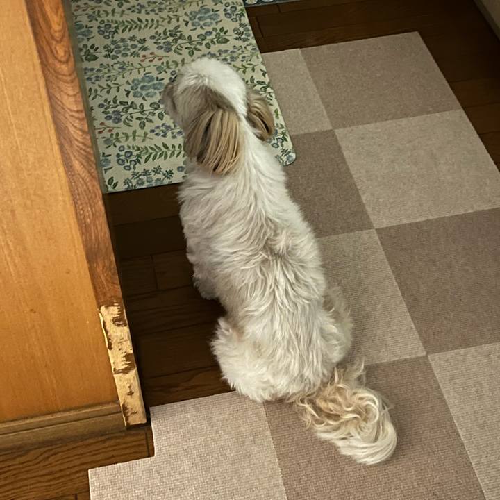 C639c486 905e 40b7 9970 197388236e92 1651932020010