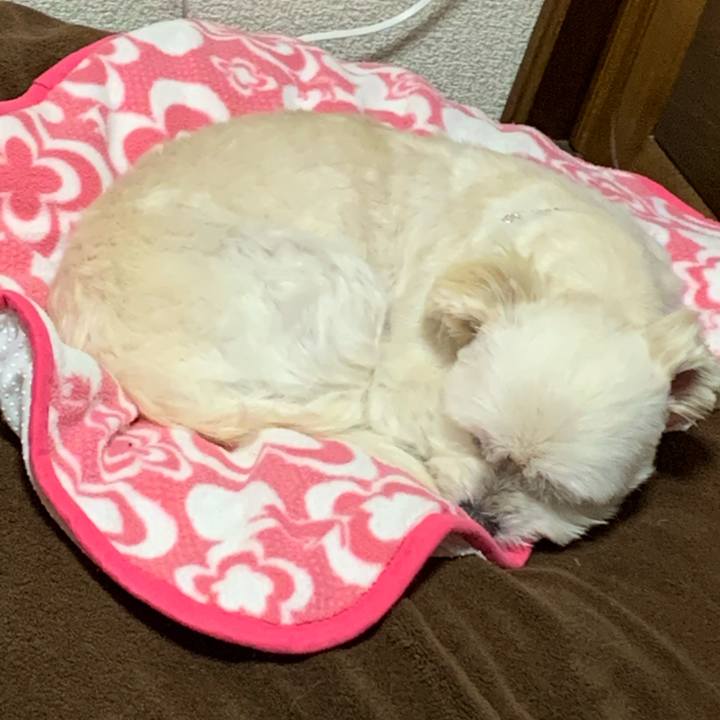 C639f7e5 6ba8 4ecb bd5f 8dc85bf7ee4f 1609747350357