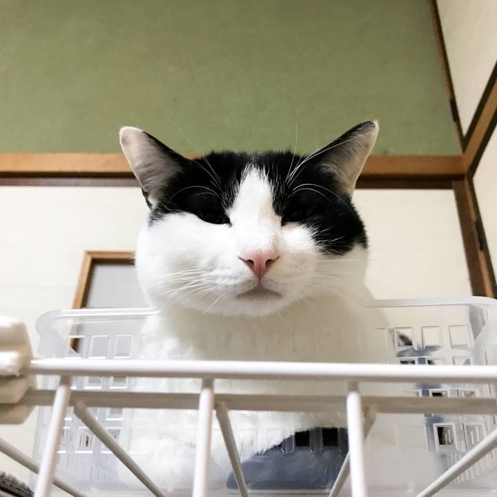 C63a0b12 6441 43d8 a49a 8e6e8c3f3549 1512096310342