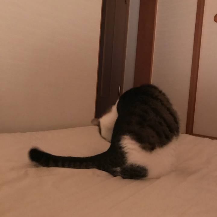 C63a21f0 f4b9 4dab a4a5 f1bdd517d3ed 1537829698371