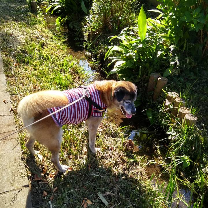 C63a263f b052 44fa acd2 f5846070aecd 1567816423371