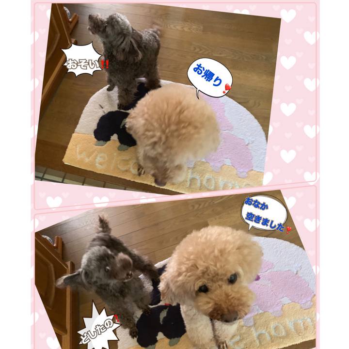 C63a4f70 eb1c 4b9b b59a 3a17fc34cd40 1562833416366