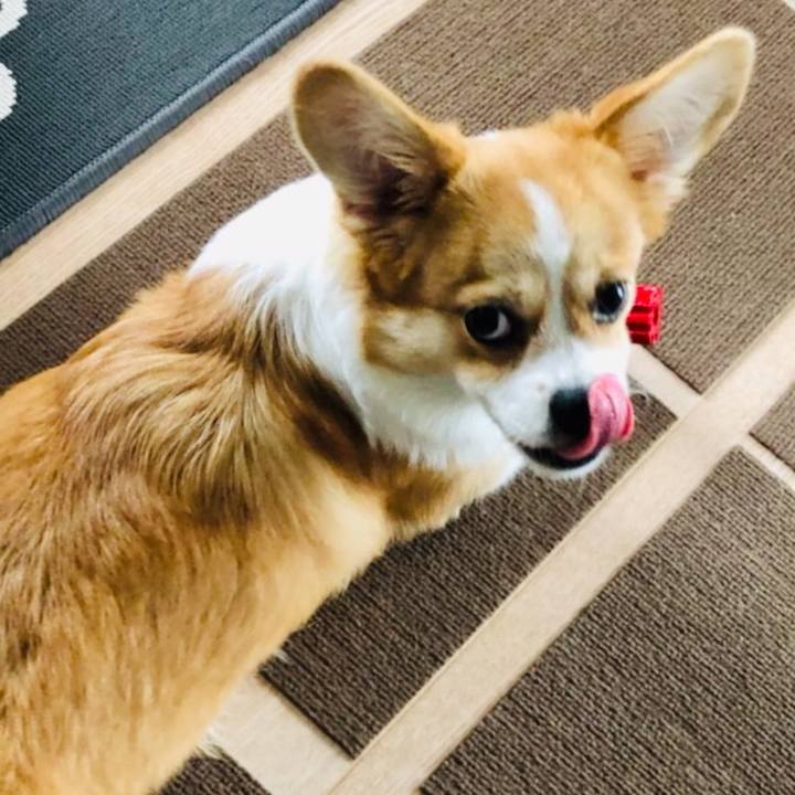 C63a622d bbd1 4985 9217 9cf05156e31e 1563335206952