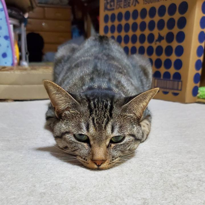 C63a7e32 435c 47db b1a6 55689ebe513c 1697977364470