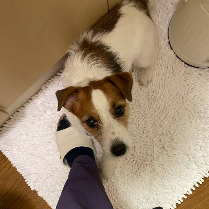 C63a81c9 d124 473a 8331 87d6fe70e0a0 1756680439306