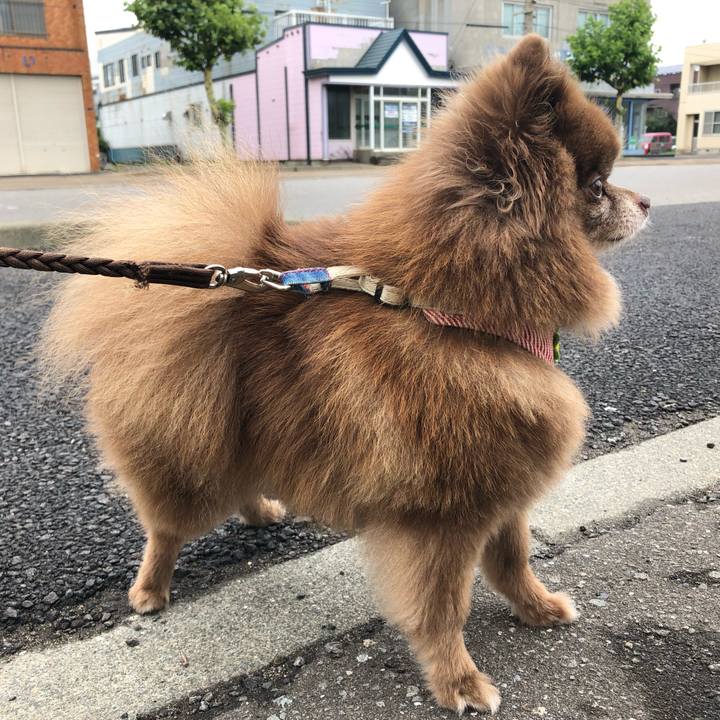 C63a8fc2 39fe 4990 a25a 18be00e7bc17 1533951792946