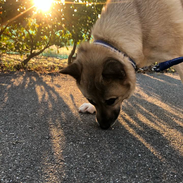 C63a9a84 4193 4da2 b498 101878be99a6 1583497579428