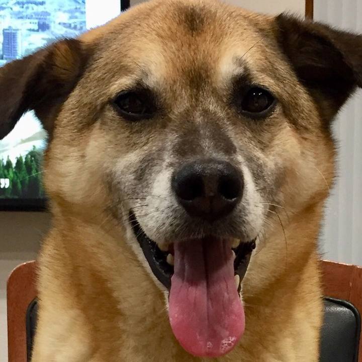 C63ad1e9 01db 4f99 be59 8793fdf2b049 1527330832356