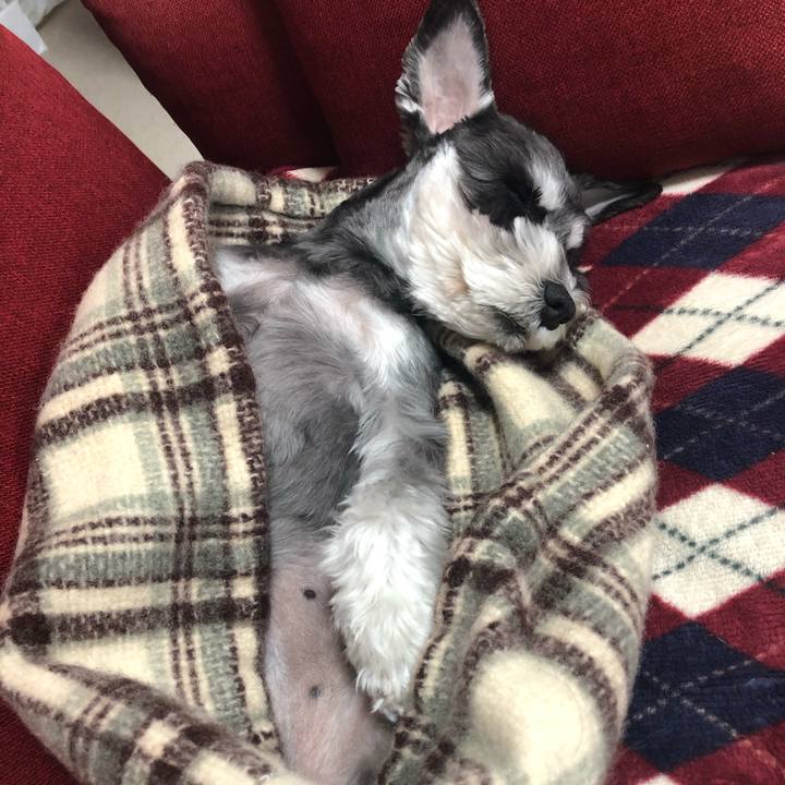 C63adc27 da2d 483a bcc5 6f503d85d3e3 1603090731862