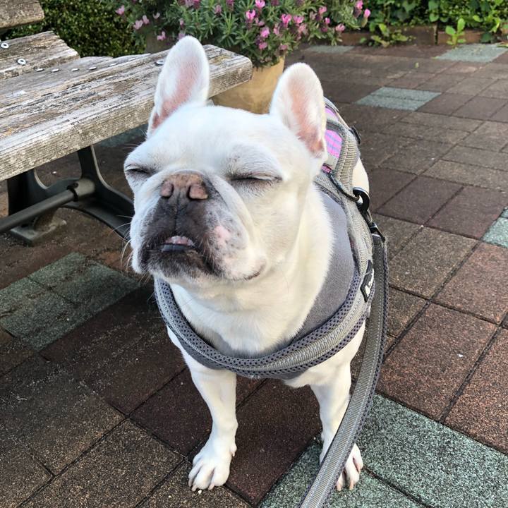 C63ba092 935e 48d9 bfca 4d7360d754fa 1651988300665