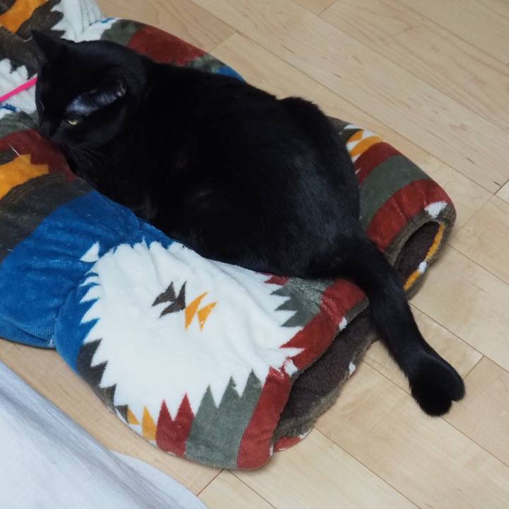 C63bb6b3 cf6e 4b41 9223 2cb12f6c53f9 1546989772544