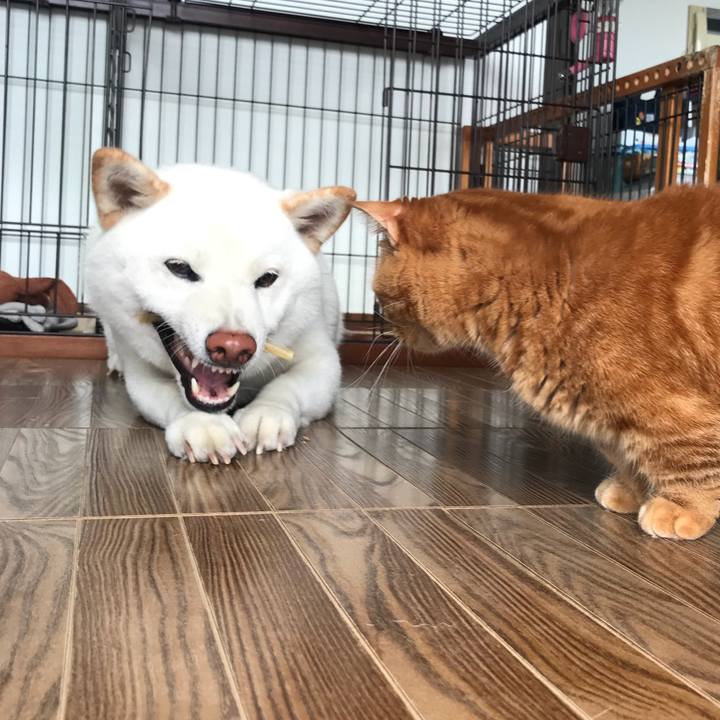 C63bc5b3 c5ca 4657 bdb1 c0238f8a5af5 1530944340334