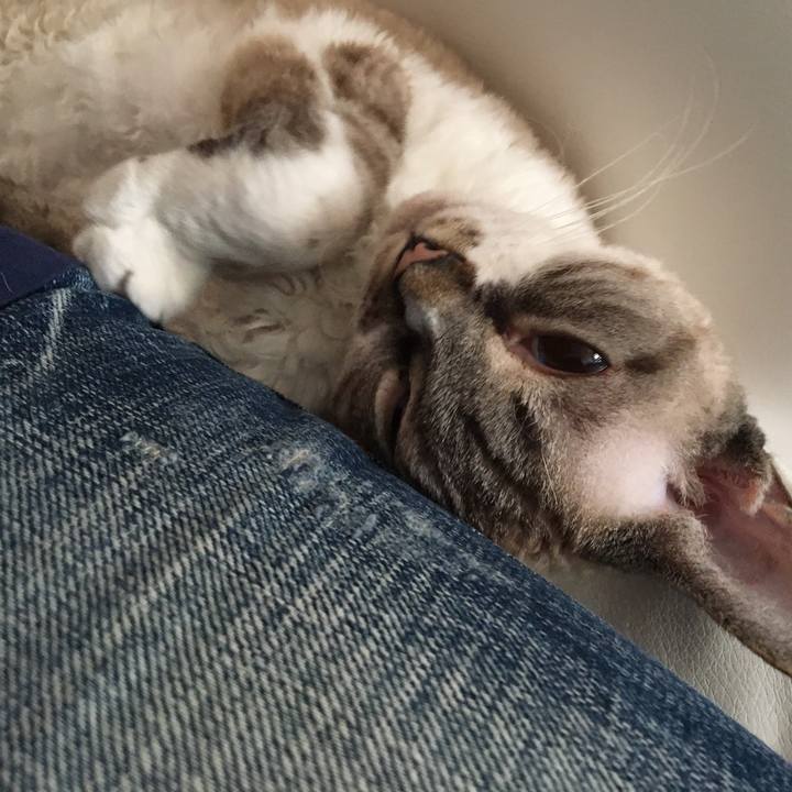 C63bfb0b 8df1 4a11 bb04 2a8ff54064ae 1619850048727