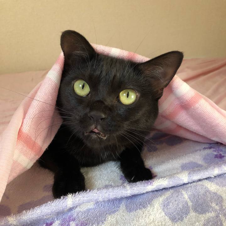 C63c223b eb5a 4506 af9d 3024ef625d5d 1533250374083