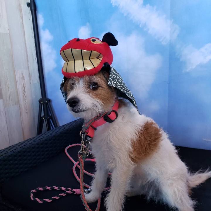 C63c25fb c7b8 4a95 a7eb 8405dbd10613 1672529463659