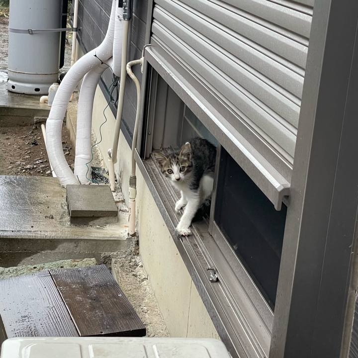 C63c320d 173f 4ed0 a301 188b856ea5a7 1694136505824