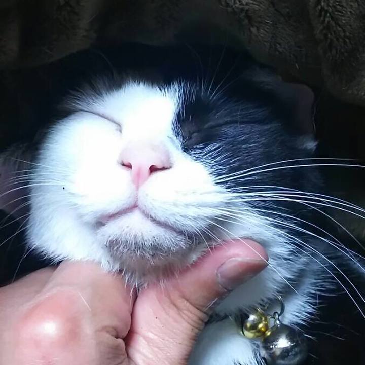 C63c3b18 cd29 42b5 9562 a4eb7a18fdcd 1524041947444