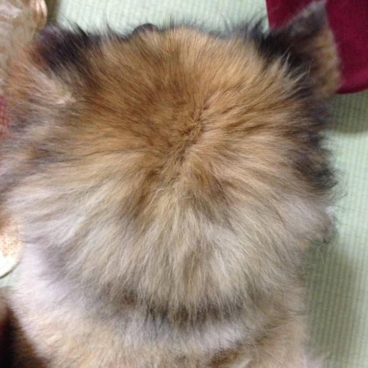 C63c7d56 de75 4901 a6d6 3ccae4d81c30 1565552594776