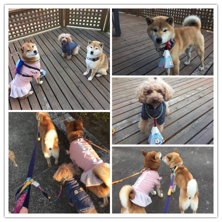 C63cd01f 5bc8 4066 9d4b ccf9640793d5 1518691578310