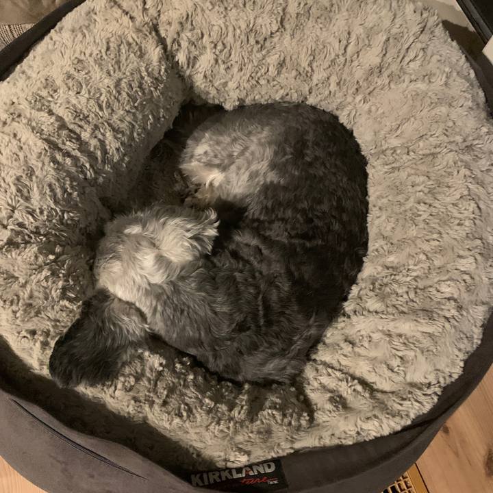 C63d41b3 bc29 4545 b246 1995f3f168dd 1684883776749