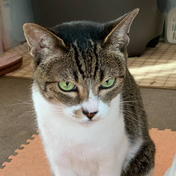 C63d55a3 0b5f 48c2 8027 6f3570172592 1600478046149