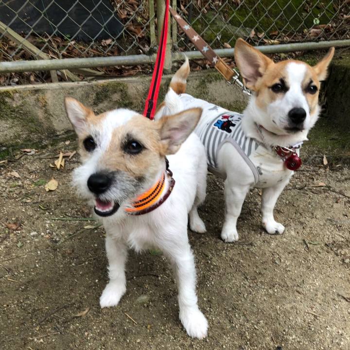 C63dab3b 5090 4aa1 8303 db676479580b 1559399589097