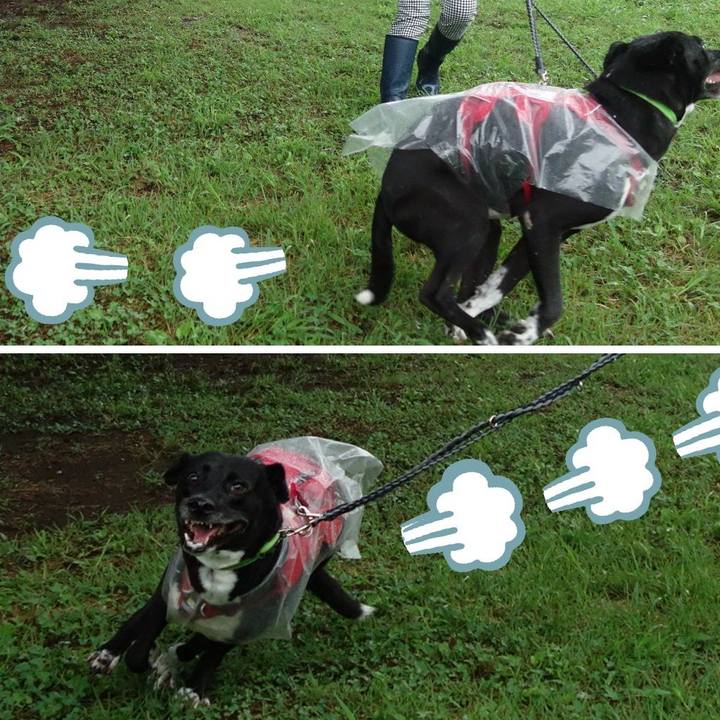 C63db138 4faa 4122 bc8c 288ebd514404 1628381444218