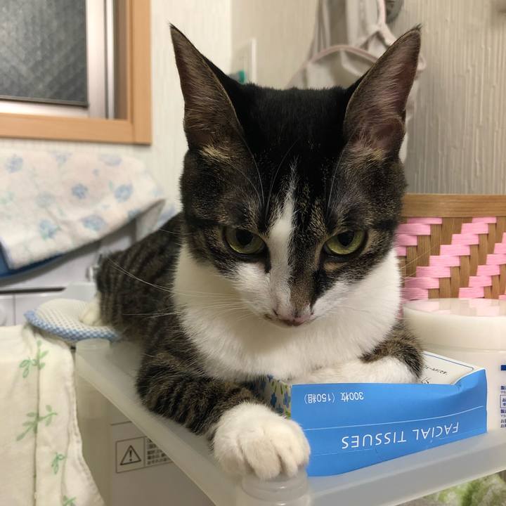 C63dcd67 3431 4026 9c91 0b7ef3cd7702 1567258765838