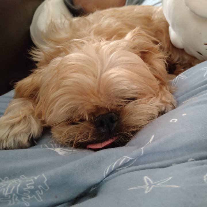 C63dfb9f d928 420d 87de 3c872a5d734b 1601676832628