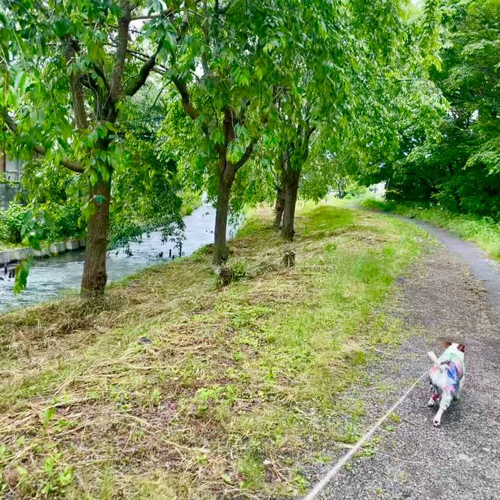 C63e2545 a219 4a34 a109 7a31e048f6a7 1748762962397