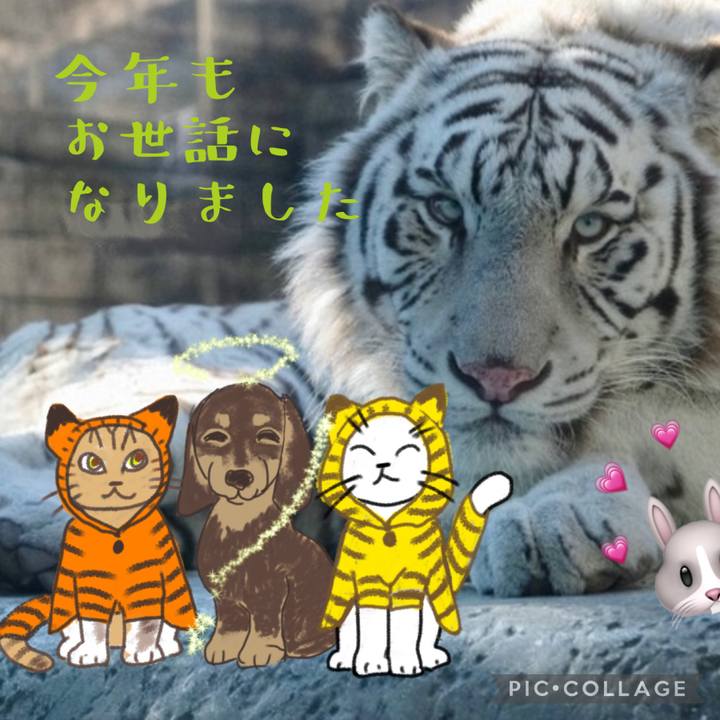 C63e4613 0f6d 412c b4c2 d6869fef132b 1672424557407