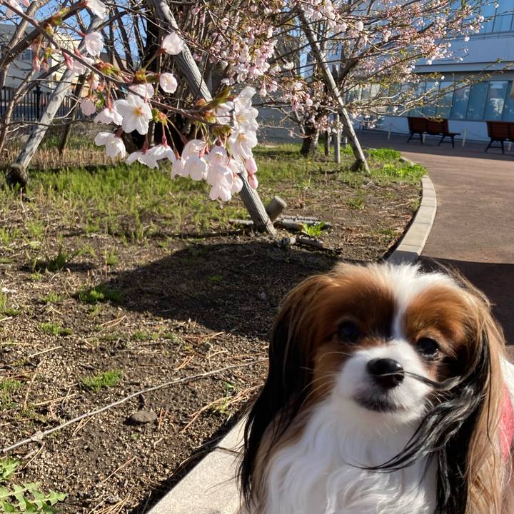 C63e71f9 adca 4b4c 8133 ac710ef190dc 1681776178045