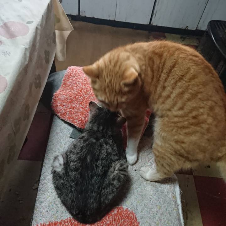 C63e8843 828c 4c77 853e 80d202282396 1583627682144