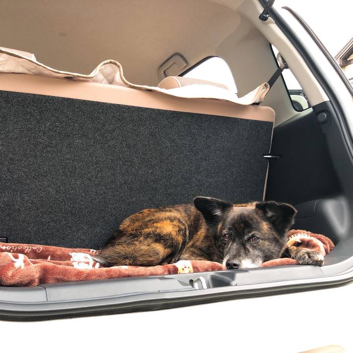 C63e9ac1 5369 4fef 8d17 329a305e9bd8 1591014620772