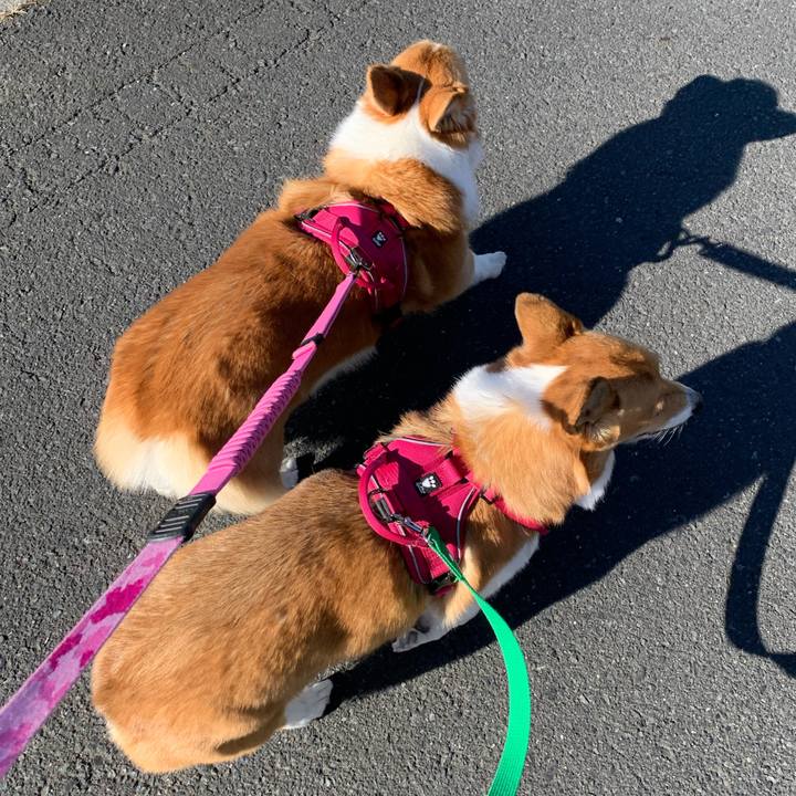 C63edd6f ae2d 46fb bd42 4b4ac594b60c 1639802246552