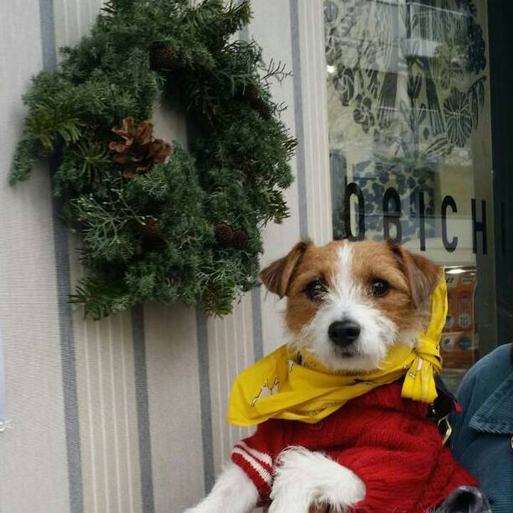 C63f1357 afb0 455b 912e 0a7253c06fe6 1544940428493