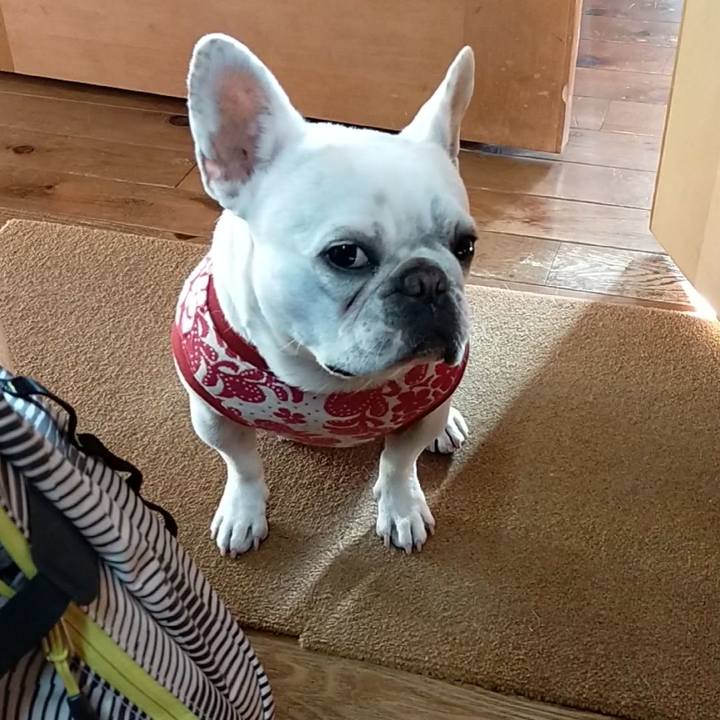 C63f2f9b 3ca0 404d 88a0 6dfa5b3fa0ea 1671438856632