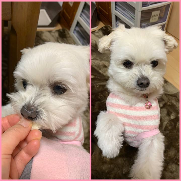 C63f68fe 331e 4bb6 a603 2b64ffa19348 1643786366679