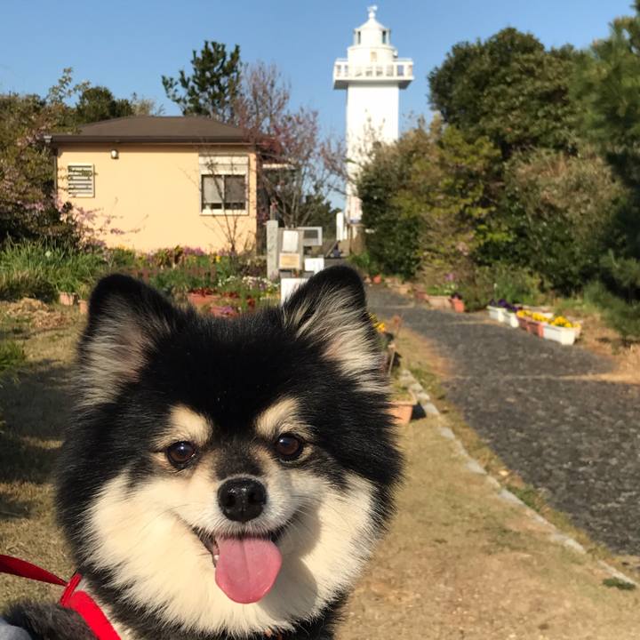 C63f7dd5 8ae5 47cd 87bc f046b144c96d 1521804324167