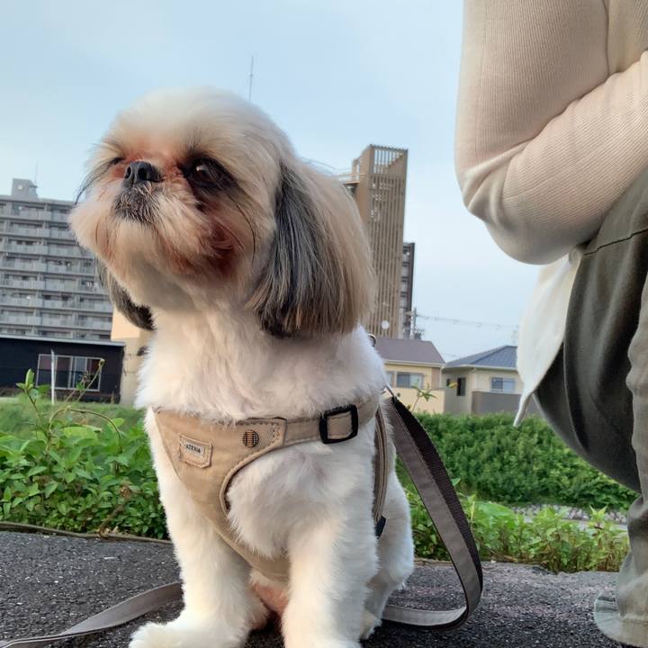 C6403d73 0cbc 46dc b8ef b2b9b8eaa2c5 1655460251587